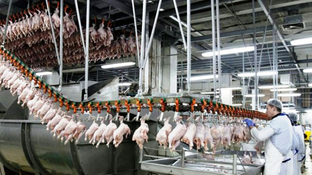 Ελέγχους στο κρέας των πουλερικών πραγματοποιεί η Ολλανδία